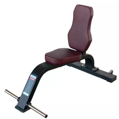 Panchina multiuso per attrezzature da ginnastica commerciali personalizzate di Befreeman Fitness