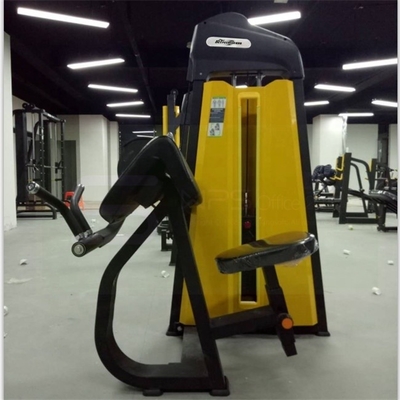 Commercial Medium Loader Indoor Camber Curl con 80 kg di peso