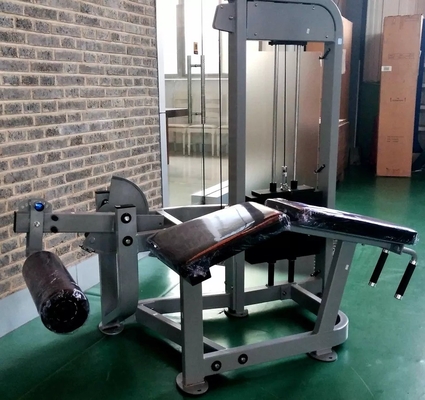 Disegno universale Prone Gym Leg Curl Equipaggiamento di estensione Macchina Befreeman Commerciale