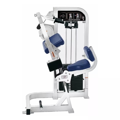 Gym di estensione del triceps per risultati personalizzato da Befreeman Strength