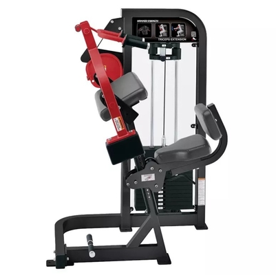 Gym di estensione del triceps per risultati personalizzato da Befreeman Strength