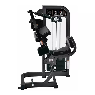 Gym di estensione del triceps per risultati personalizzato da Befreeman Strength
