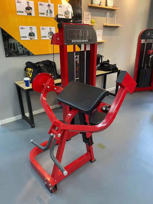 Macchina di forza in acciaio Biceps Curl Seduta Biceps Curl Machine di Befreeman per Gym