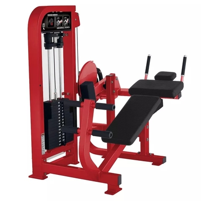 Macchina di fitness addominale personalizzata per il centro di ginnastica presso Befreeman Gym Equipment