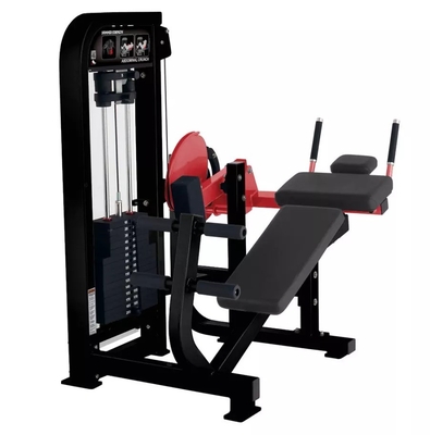 Macchina di fitness addominale personalizzata per il centro di ginnastica presso Befreeman Gym Equipment