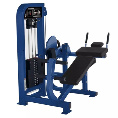 Macchina di fitness addominale personalizzata per il centro di ginnastica presso Befreeman Gym Equipment