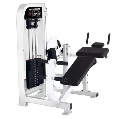 Macchina di fitness addominale personalizzata per il centro di ginnastica presso Befreeman Gym Equipment