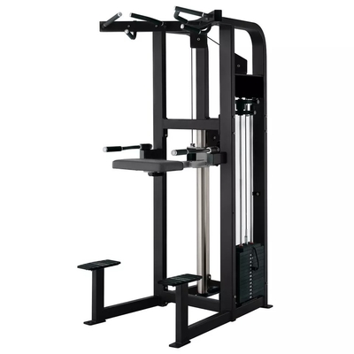 Steel Gym Center Strength Training Machine Chin Up Bar Assist Dip Chin per il corpo superiore