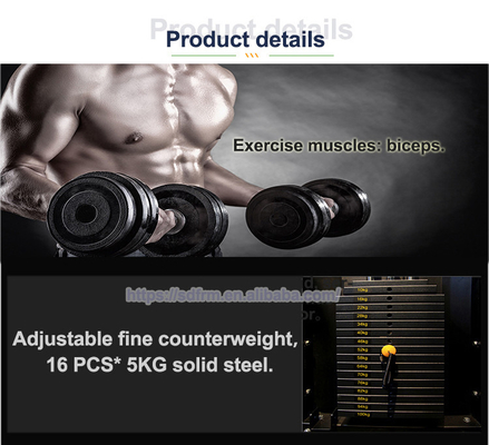 Due strati elettrostatici in polvere di rivestimento Biceps Curl Triceps macchina per allenamenti efficaci