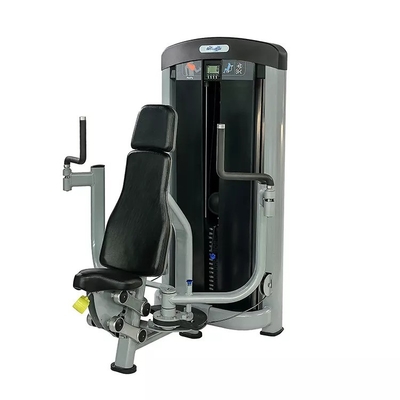 Logo personalizzato Universal Real Triangle Pectoral Fly Machine per attrezzature di fitness FL