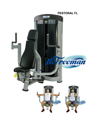 Logo personalizzato Universal Real Triangle Pectoral Fly Machine per attrezzature di fitness FL
