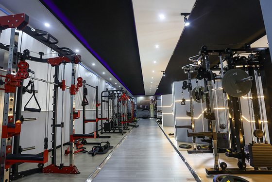 Opzionale Colore del telaio selezionabile Commerciale attrezzature per il body building