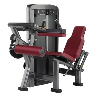 Logo personalizzabile Forza commerciale Seduta Leg Curl Estensione per attrezzature da allenamento