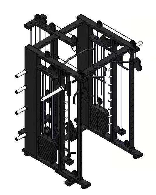 Macchina Smith commerciale all-in-one per l'addestramento funzionale del rack
