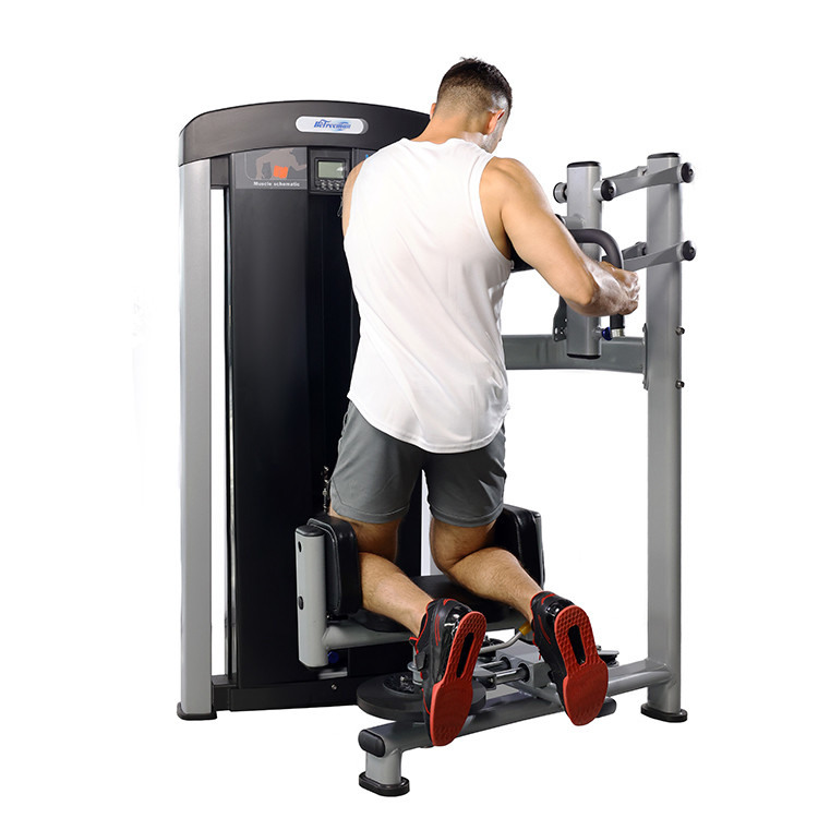 Commercial Gym Fitness Sets Steel Indoor Torso Rotation Machine per prestazioni ottimali