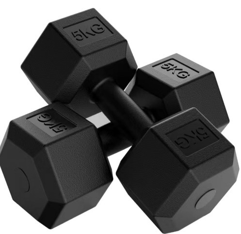 Metallo e gomma Home Gym Fitness Equipment Hex Manubrio con colore personalizzato