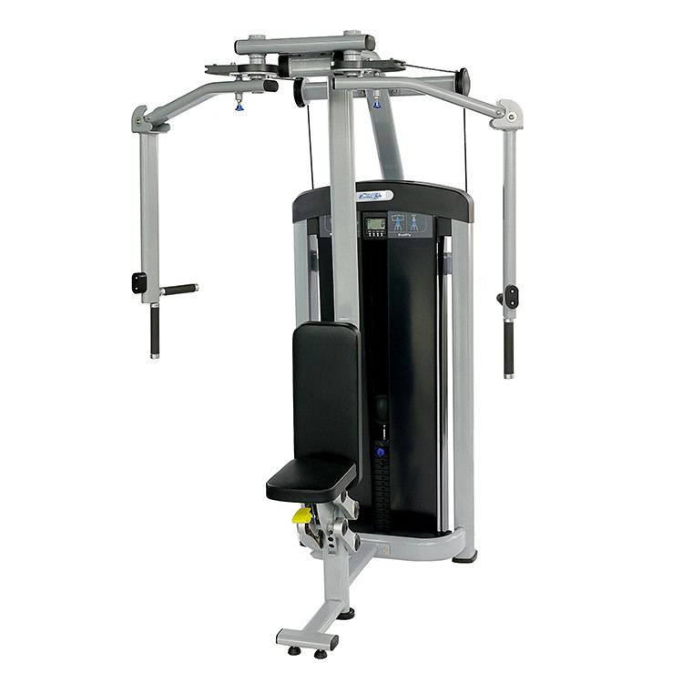 Attrezzatura di carico per palestra a spina posteriore Delt Pec Fly Machine personalizzata per l'allenamento di forza