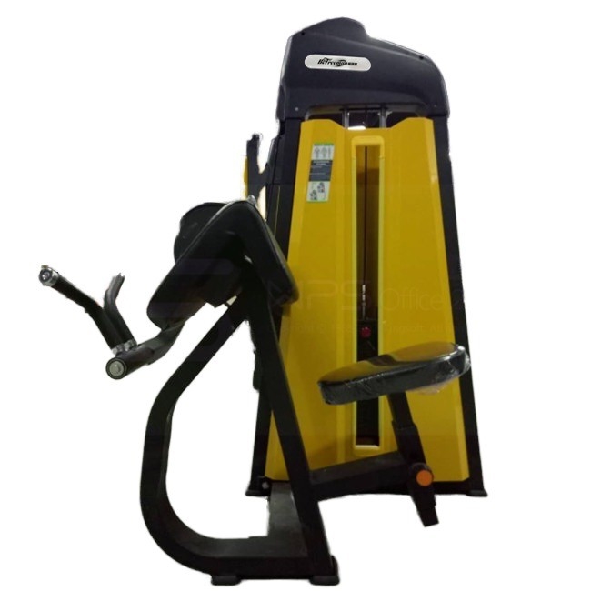 1380*930*1580 Commercial Strength Machine Camber Curl per attrezzature per palestra di Befreeman