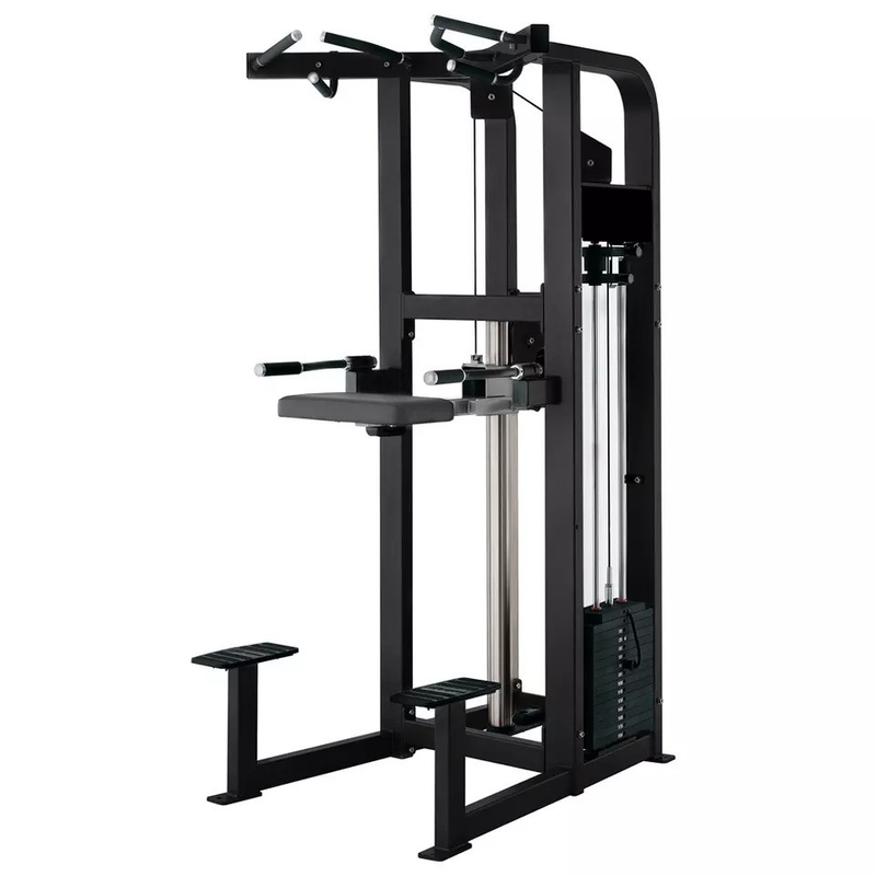 Steel Gym Center Strength Training Machine Chin Up Bar Assist Dip Chin per il corpo superiore